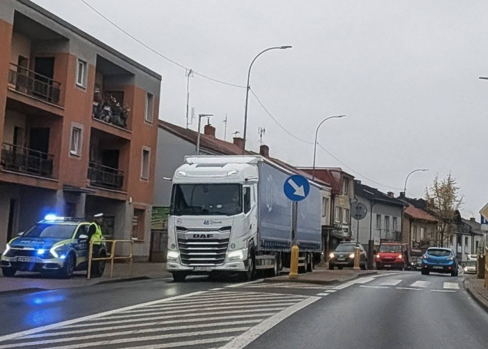 Akcja policyjna 