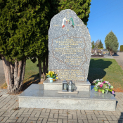 7. 