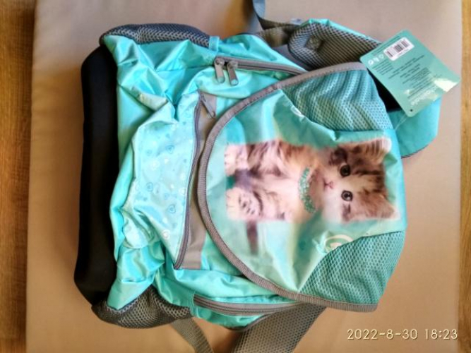 Grajewo ogłoszenia: Sprzedam nieużywany plecak dla dziecka marki Rachaelhale.
