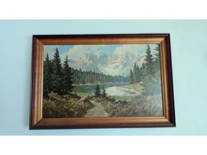 Grajewo ogłoszenia: Wymiary 60x90 cm