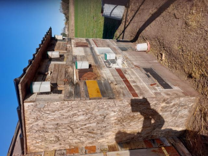 Grajewo ogłoszenia: Sprzedam 9 komorową klatkę dla królików. Klatka dostępna w...