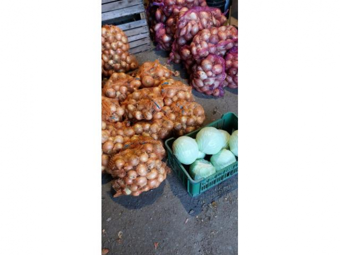Grajewo ogłoszenia: Sprzedam: 
- cebulę 10 zł /10 kg  
- kapustę 80 gr /1kg...