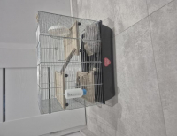 Grajewo ogłoszenia: Sprzedam klatkę dla chomika z pełnym wyposażeniem (domek,...