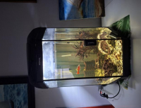 Grajewo ogłoszenia: Sprzedm akwarium Hexa Set Lt 60l zawiera sześciokątny zbiornik o...