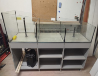 Grajewo ogłoszenia: Pojemność akwarium około 230 litrów.
Szkoło 8mm
Oferta...