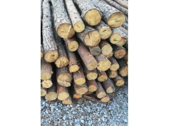 Grajewo ogłoszenia: Sprzedam stemple drewniane po budowie . Około 120 sztuk.