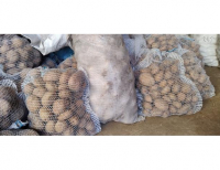 Grajewo ogłoszenia: Sprzedam:
- ziemniaki jadalne, smaczne, irga, vineta, catania, na...