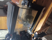 Grajewo ogłoszenia: Sprzedam akwarium