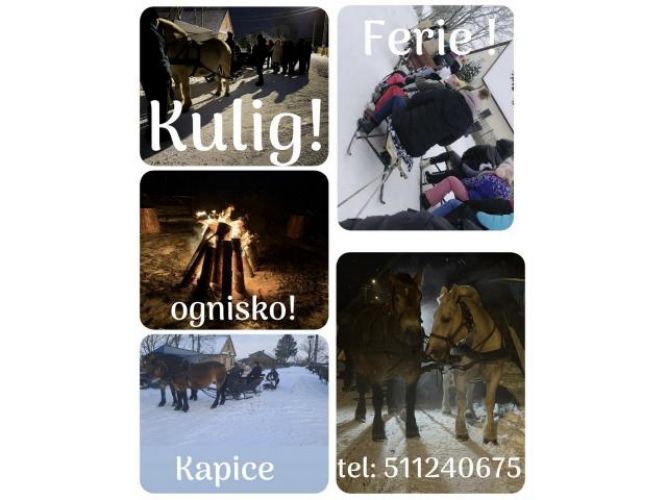 Grajewo ogłoszenia: Kulig! Ferie! Ognisko!
Kapice - Zapraszamy, zadzwoń!