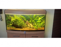 Grajewo ogłoszenia: Sprzedam akwarium 200l diversa panoramiczne z pokrywą  i szafką....