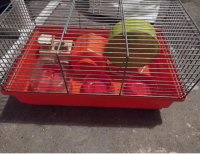 Grajewo ogłoszenia: Sprzedam dwie klatki widoczne na zdjęciach  dorzucam akcesoria...