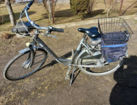 Grajewo ogłoszenia: Sprzedam rower elektryczny
Więcej informacji pod nr telefonu