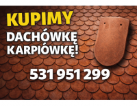 Grajewo ogłoszenia: Kupimy dachówkę karpiówkę.