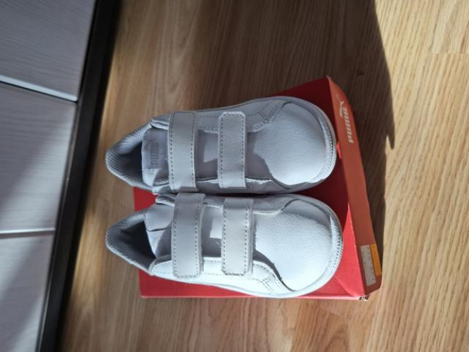 Grajewo ogłoszenia: Sprzedam adidasy puma rozmiar 25, dł.wkładki 15,5