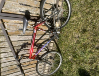 Grajewo ogłoszenia: Oddam za kawę rower męski