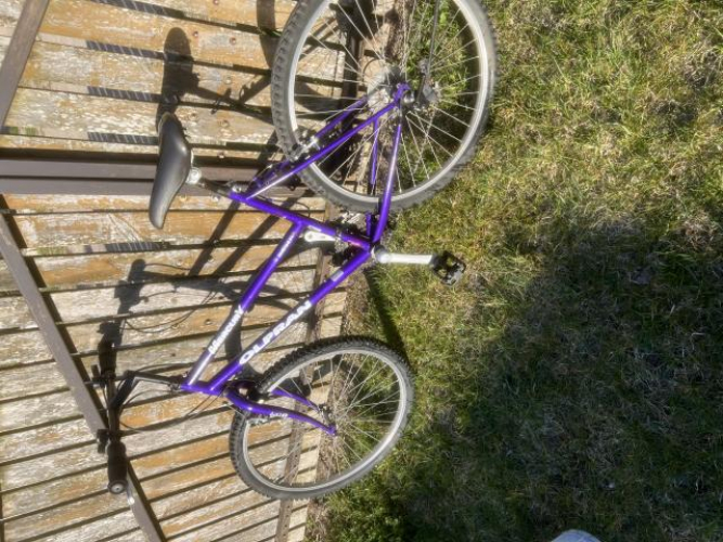 Grajewo ogłoszenia: Oddam za kawę ziarnistą rower damka z przerzutkami