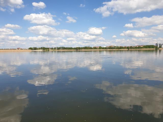 Grajewo ogłoszenia: Dzień dobry. 58 latek  wolny, niezależny, prowadzący swój...