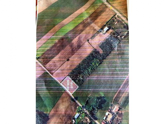 Grajewo ogłoszenia: Działka 181/7 Popowo sprzedam pod lasem 89 m2 
oraz dom.