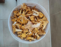 Grajewo ogłoszenia: Sprzedam 1,5 kg kurek, obrane