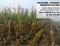 Grajewo ogłoszenia: Zakład Doświadczalny w Biebrzy, należący do Instytutu...