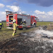 Zdjęcie dnia: Pożar na terenie BPN (OSP...