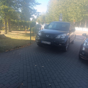 Zdjęcie dnia: Najlepiej na środek ustać...