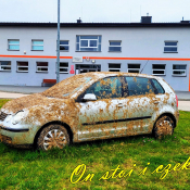 Zdjęcie dnia: Szczuczyn