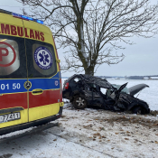 Zdjęcie dnia: 24 listopada 2025 r. W...