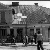 Zdjęcie dnia: fot. W. Paszkowski -...