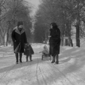 Zdjęcie dnia: styczeń  1979