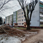 Zdjęcie dnia: Wiosenne porządki...