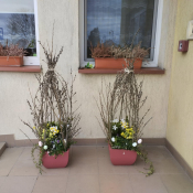 Zdjęcie dnia: Urząd w Radziłowie...