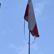 Zdjęcie dnia: foto. wes59
PATRIOTA tu...