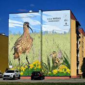 Zdjęcie dnia: Goniądz -  miasto...