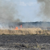 Zdjęcie dnia: Pożar w Narwiańskim Parku...