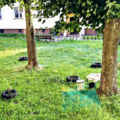 Zdjęcie dnia: Nowy 