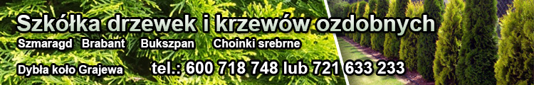 glowna_banner_duzy/6175