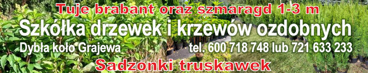 glowna_banner_duzy/9107