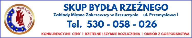 glowna_banner_duzy/8931
